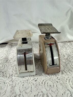 Set of 2 Diet Scales